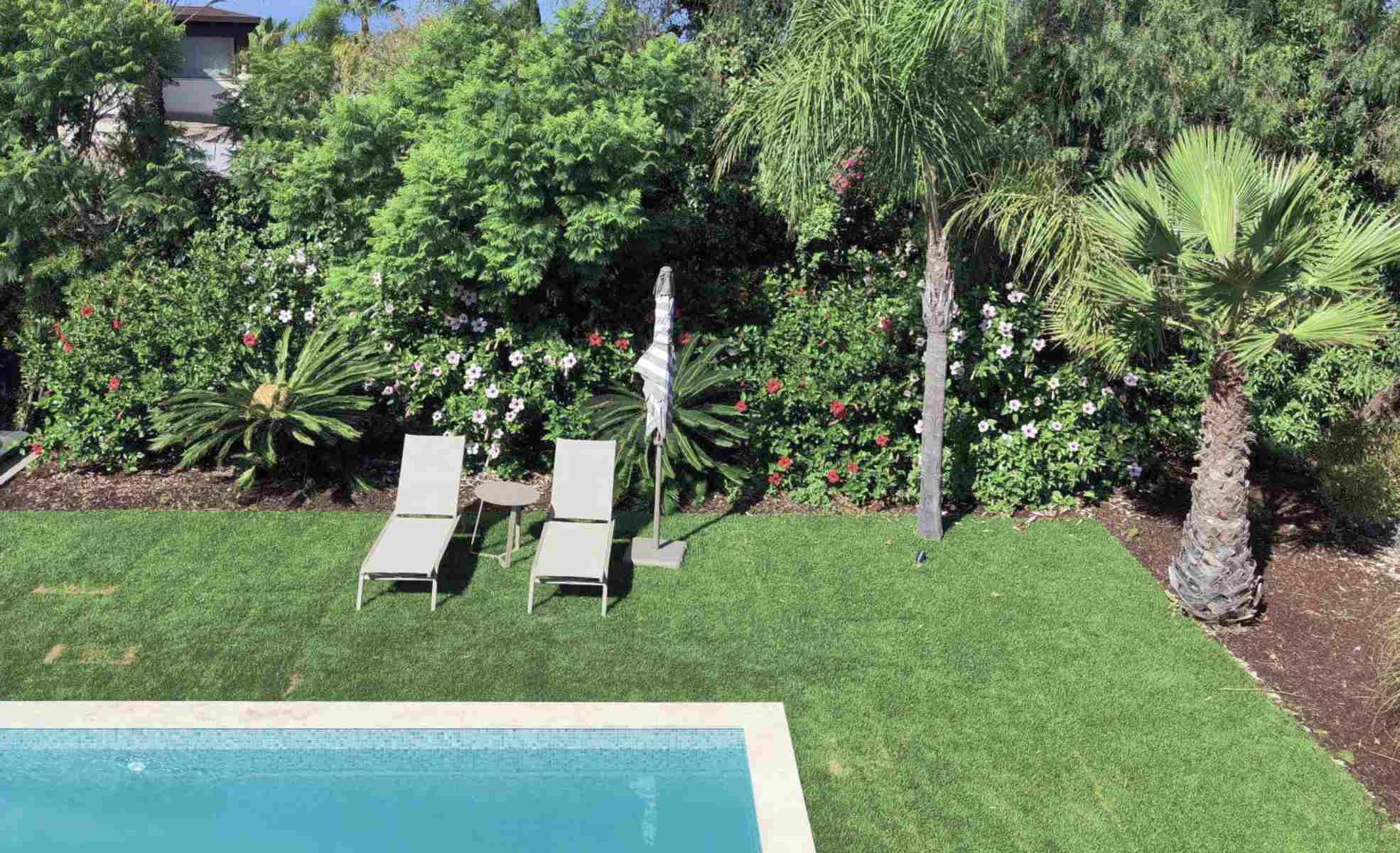 None  Hibiscus Carvoeiro